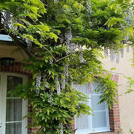 Spacieuse Avec Piscine Et Parking Prive - Fr-1-410-464 Bed & Breakfast *