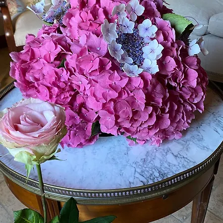 Spacieuse Avec Piscine Et Parking Prive - Fr-1-410-464