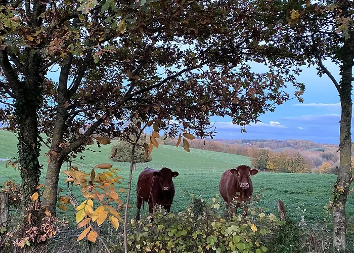 Spacieuse Avec Piscine Et Parking Prive - Fr-1-410-464 Oda ve Kahvaltı Montreuil-le-Henri
