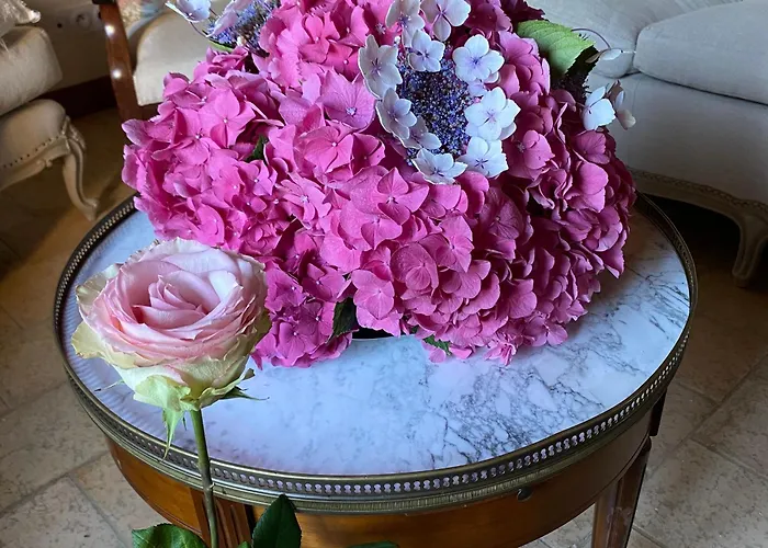 Spacieuse Avec Piscine Et Parking Prive - Fr-1-410-464